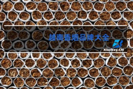 越南香烟品牌大全