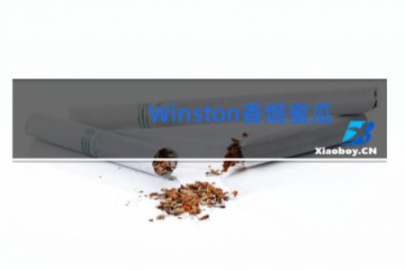 Winston香烟蜜瓜