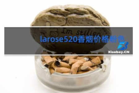 larose520香烟价格粉色
