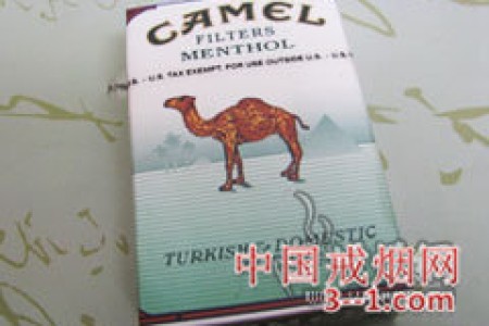 骆驼(薄荷) | 单盒价格上市后公布 目前