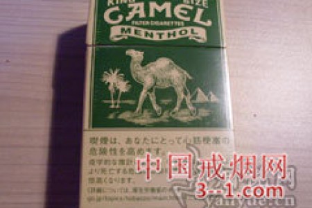骆驼(薄荷日版) | 单盒价格上市后公布 目前待上市