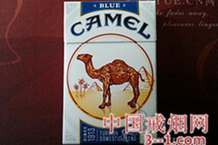 骆驼(硬蓝)美产免税版 | 单盒价格上市后公布 目前