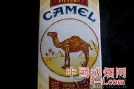 骆驼(原味) | 单盒价格上市后公布 目前