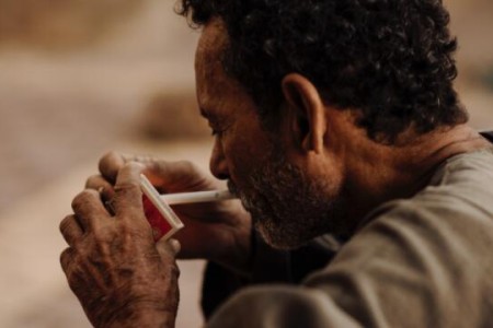 埃及吸烟率比2020年下降0.5%