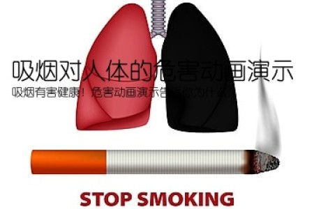 吸烟对人体的危害动画演示(吸烟有害健康！危害动画演示告诉你为什么)