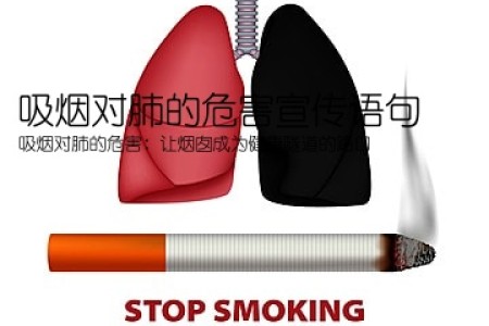 吸烟对肺的危害宣传语句(吸烟对肺的危害：让烟囱成为健康隧道的路口)