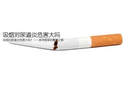 吸烟对尿道炎危害大吗(吸烟对尿道炎危害大吗？——探寻烟草的毒害之路)