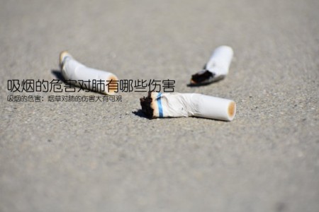 吸烟的危害对肺有哪些伤害(吸烟的危害：烟草对肺的伤害大有可观)