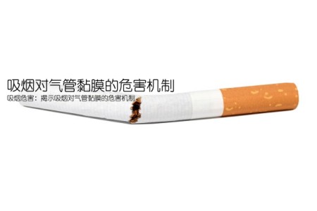 吸烟对气管黏膜的危害机制(吸烟危害：揭示吸烟对气管黏膜的危害机制)