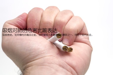 吸烟对肺的危害比喻表达(吸烟害肺，如同慢性的毒品注射，逐步摧毁人体最重要的器官之一。在这个现代社会，