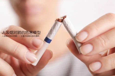 人吸烟对肺的危害模型(人吸烟对肺的危害：一文揭示吸烟的恶性循环)