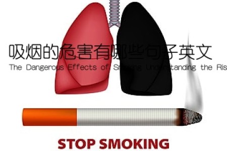 吸烟的危害有哪些句子英文(The Dangerous Effects of Smoking Understanding the Risks)