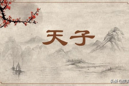 天子的中文特定名称（是指专门在某类指定的商品或产品上使用特定的名称或图案的权利）