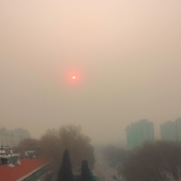 北京中南海太阳烟怎么样(北京中南海太阳烟的品质如何？)