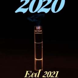 2023年电子烟还能做吗(电子烟产业的未来：暗淡还是光明？)