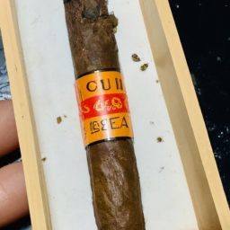 cohiba雪茄古巴雪茄(Cohiba雪茄：古巴雪茄中的典范)