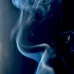 吸烟对肺的危害(吸烟害肺：为自己的健康负责)