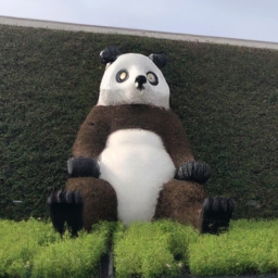上海生产大熊猫细支烟吗(上海烟草厂是否将生产大熊猫细支烟？)