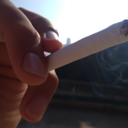 小学吸烟危害(小学生吸烟危害：成人偏见还是真实问题？)