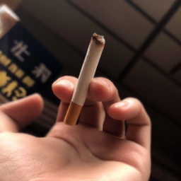 不要吸烟(不要吸烟！——烟草世界的阴影)